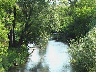 Река Сельдь (Сельдя, Сельга)