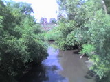 Река Сельдь