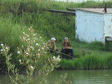 Рыбаки на пруду